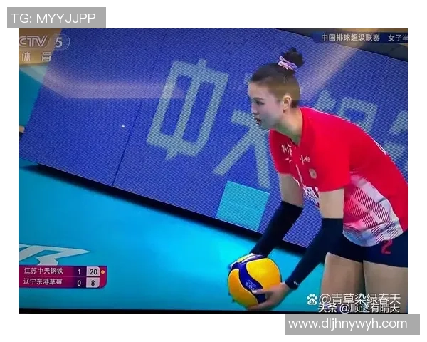 南京排球队的节奏与魅力探讨聚焦排球运动的未来发展与挑战